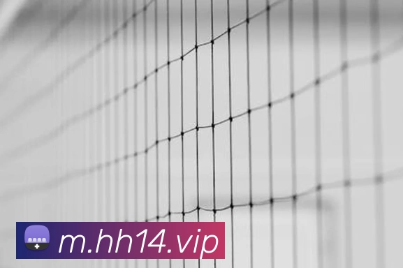 火狐体育官网首页平台生态图